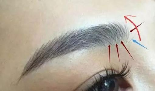 紋眉