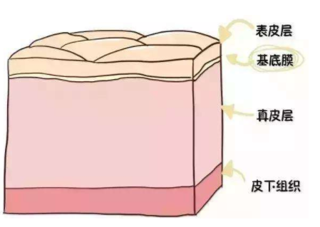 玻尿酸填充會影響上班嗎
