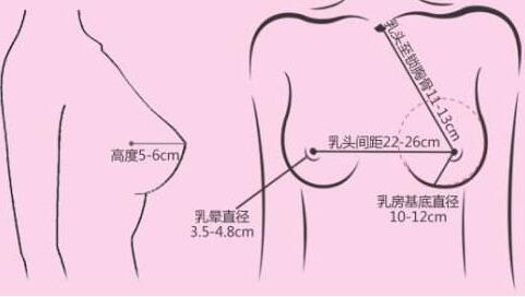 自體脂肪隆胸大約多少錢