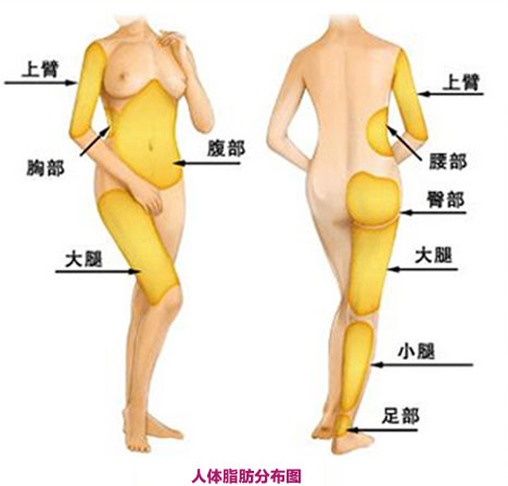 吸脂減肥手術(shù)要注意哪些風(fēng)險(xiǎn)問題