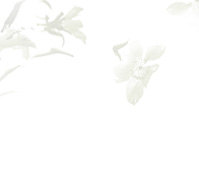 美萊中醫(yī)健康減肥